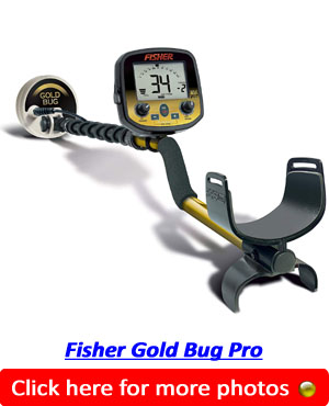 Fisher Gold Bug Pro